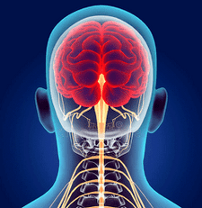illustration of neural canals of the cervical spine